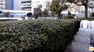 MKON-091 修学旅行で彼女といい雰囲気だったのに、鬼畜DQN集団にボコられて「彼女を好きにして下さい」と言